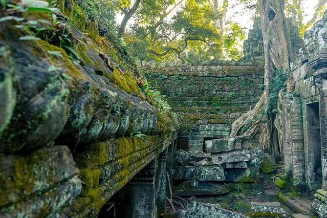 Explore Angkor Wat Temple , Bayon Temple and Jungle Temple Ta-Prohm - Ta Prohm: Jungle and Ruins