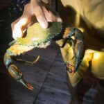 Explore Ca Mau: Dat Mui National Park - Introduction to the Ca Mau Experience