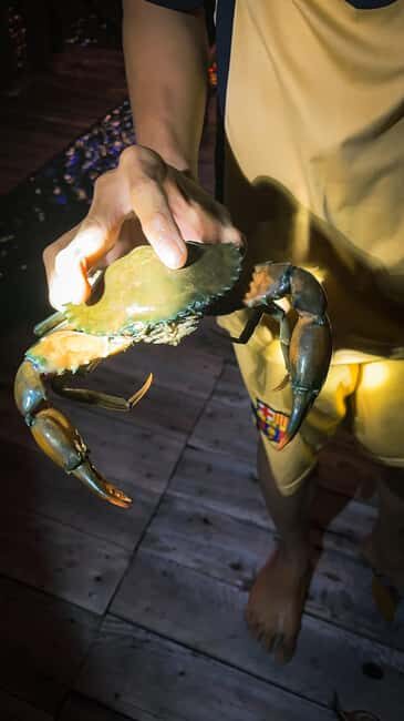 Explore Ca Mau: Dat Mui National Park - Introduction to the Ca Mau Experience