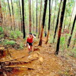 Explore Ella: Rock Hike, Loop, Falls, Nine arch & Train View - Key Points