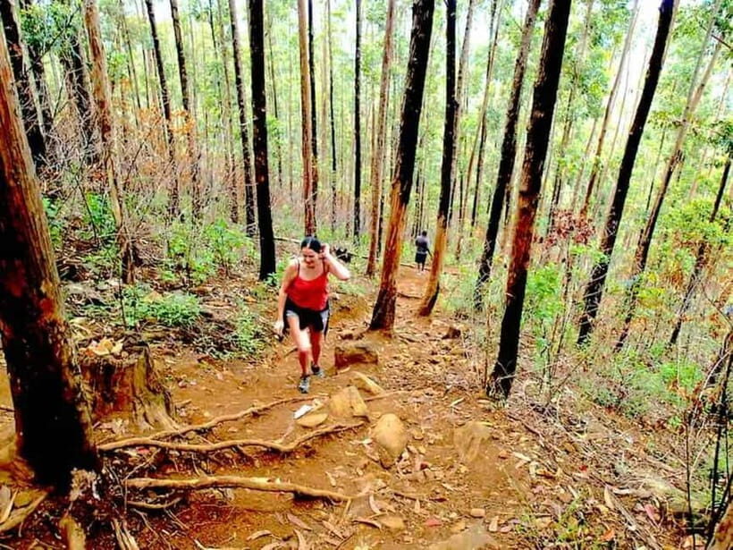 Explore Ella: Rock Hike, Loop, Falls, Nine arch & Train View - Key Points