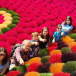 Explore Hanoi: Ceramic & Incense Villages or City Highlights - What to Expect: Details and Practicalities