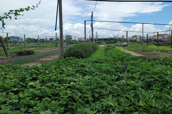 Explore Hoi An ancient town and local villages with a local guide - Exploring the Itinerary in Detail