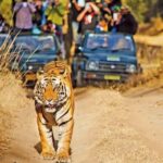 Explore Khajuraho & Panna: 3-Day Delhi Train Safari Trip - A Detailed Look at the Itinerary