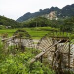 Explore Mai Chau - Pu Luong - Ninh Binh 4 Days / 3 Nights - Price and Value