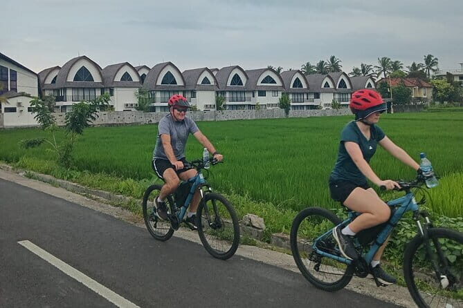 Explore Rice Fields and Hidden Villages with Ubud E-Bike Tour - The Itinerary Breakdown: What You Can Expect