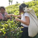 Explore the best of Ella. Hiking, waterfalls and cultural tour - Why Choose This Tour?