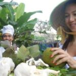 Farm-To-Table Healthy Cooking Class: Half-Day Tour - Why This Tour Represents Good Value