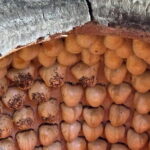 Food tour in Tashkent - The Authentic Food Experience: What Travelers Say