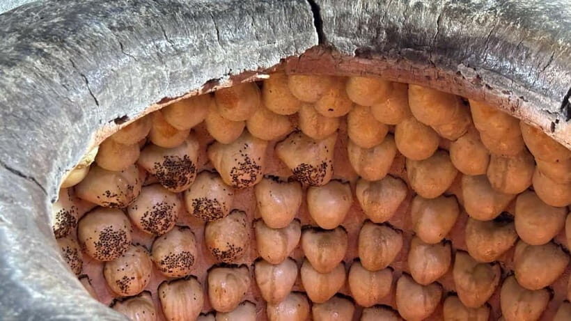 Food tour in Tashkent - The Authentic Food Experience: What Travelers Say