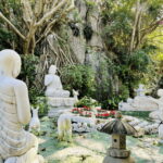 Free E-sim Classic Da Nang Tour - Who Will Enjoy This Tour?