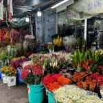 Free E-Sim Saigon Foodie Market Tour - Included and Not Included