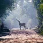 From Agra: Taj Mahal, Fatehpur Sikri & Bird Safari Tour - What Makes This Tour Stand Out?