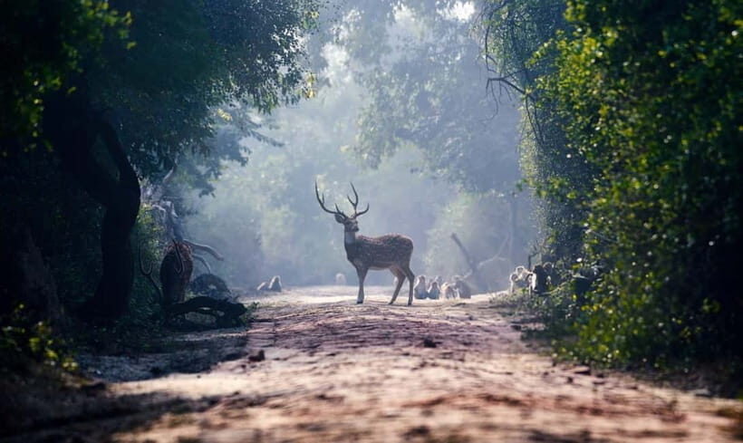 From Agra: Taj Mahal, Fatehpur Sikri & Bird Safari Tour - What Makes This Tour Stand Out?