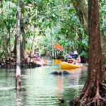 From Ao Nang: Kayaking at Klong Rud with Hotel Transfers - Why This Tour Is Worth Considering