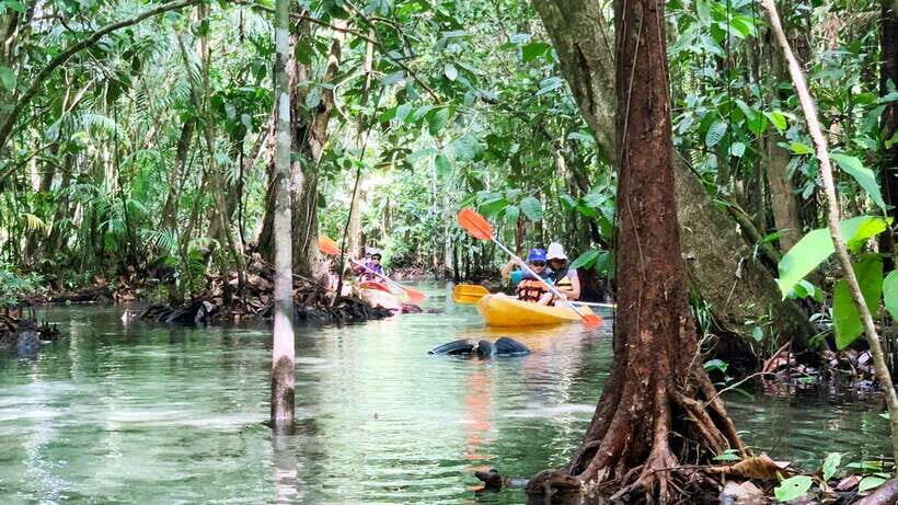From Ao Nang: Kayaking at Klong Rud with Hotel Transfers - Why This Tour Is Worth Considering