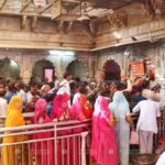 From Bikaner: Rat Temple Tour with Drop-off at Jodhpur - The Full Experience: What to Expect During the Tour