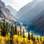 From Bishkek: Half-Day Excursion to Ala-Archa National Park - Authentic Experiences & Tips from Previous Travelers