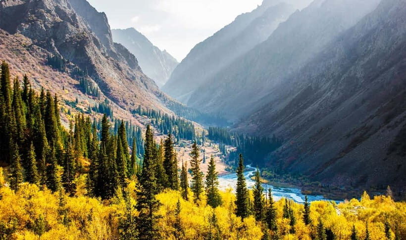 From Bishkek: Half-Day Excursion to Ala-Archa National Park - Authentic Experiences & Tips from Previous Travelers