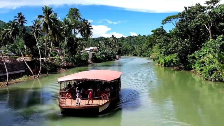 From Cebu: Bohol Countryside & Buffet Lunch Exclusive Tour - Breaking Down the Experience