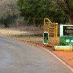 From Chandrapur: 2-Day Tadoba National Park Safari Tour - What Makes the Tour Value-Driven
