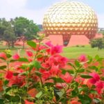 From Chennai: Private Pondicherry & Auroville Day Tour - Experience Provider and Practicalities
