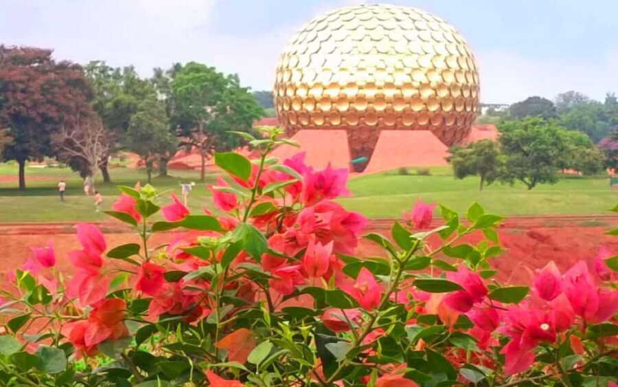 From Chennai: Private Pondicherry & Auroville Day Tour - Experience Provider and Practicalities