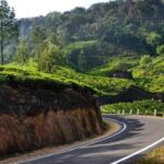 From Cochin: 5-Day Kerala Munnar, Thekkady, & Alleppey Tour - Final Thoughts