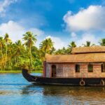 From Cochin: 5 Day Private Kerala Tour with 3 & 4 Star Hotel - Day 3: From Munnar to Thekkady — Wildlife and Spice Gardens