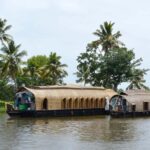 From Cochin: Alleppey Houseboat Day Tour with Lunch - Why You Will Love This Tour