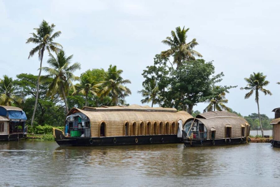 From Cochin: Alleppey Houseboat Day Tour with Lunch - Why You Will Love This Tour