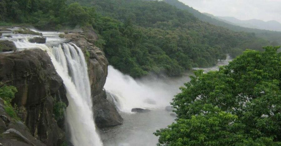 From Cochin: Athirappilly Waterfall Excursion with Lunch - The Journey Begins: From Cochin to Athirappilly