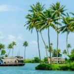 From Cochin: Day Tour of Alleppey houseboat with Lunch - The Itinerary in Detail