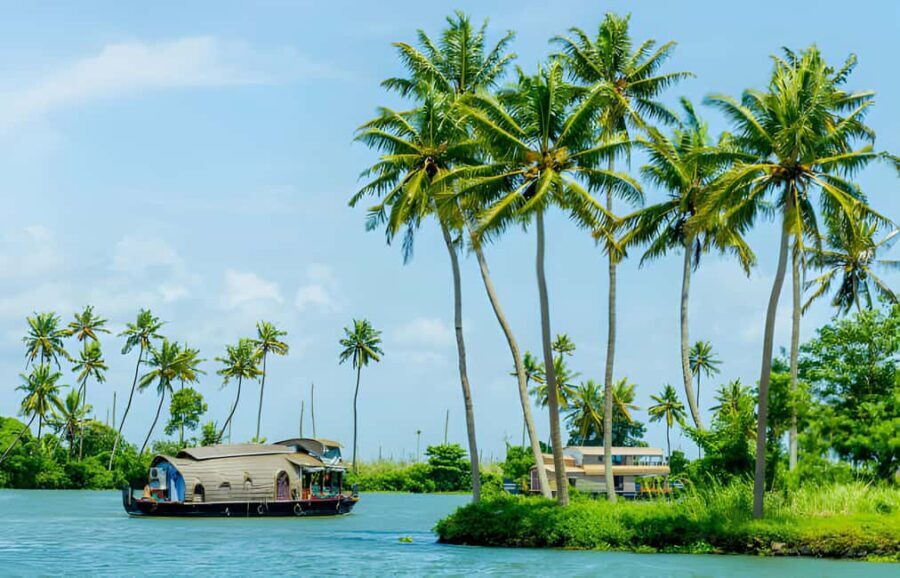 From Cochin: Day Tour of Alleppey houseboat with Lunch - The Itinerary in Detail