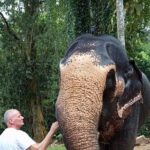 From Colombo: Kandy and Pinnawala Full-Day Trip - The Sum Up