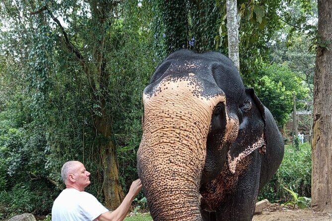 From Colombo: Kandy and Pinnawala Full-Day Trip - The Sum Up