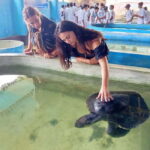 From Colombo/Negombo: Galle, Madu River, and Turtle Hatchery - An In-Depth Look at the Tour Experience