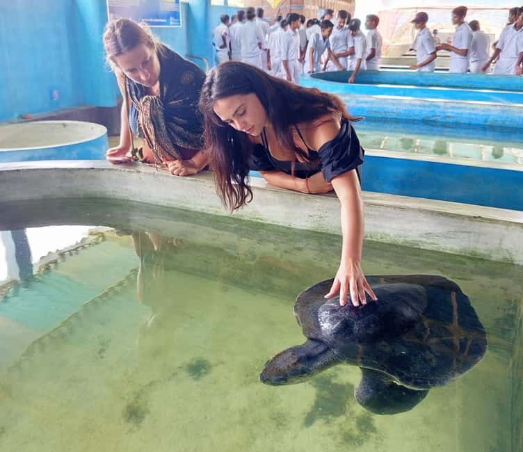 From Colombo/Negombo: Galle, Madu River, and Turtle Hatchery - An In-Depth Look at the Tour Experience