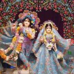 From Delhi: 1-day trip Mathura with Elephant conservation - A Day Trip That Combines Spirituality and Conservation