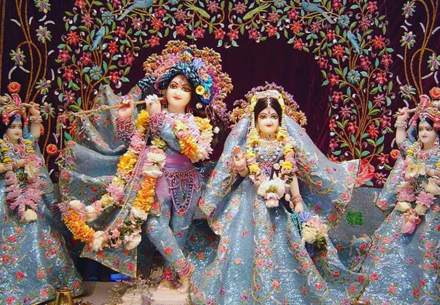 From Delhi: 1-day trip Mathura with Elephant conservation - A Day Trip That Combines Spirituality and Conservation