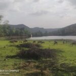 From Delhi: 3-Days Jaipur & Ranthambore Wildlife Safari Tour - What Makes This Tour Stand Out?