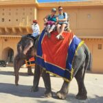 From Delhi: 4-Day Golden Triangle & Ranthambore Tiger Safari - Transportation & Comfort