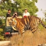 From Delhi: 4-Day Golden Triangle Tour with Tiger Safari - Detailed Breakdown of the Itinerary