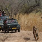 From Delhi: 4-Day Private Golden Triangle with Ranthambore - What Real Reviewers Say