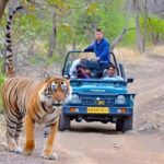 From Delhi: 4 Days Golden Triangle Tour with Ranthambore - Day-by-Day Breakdown