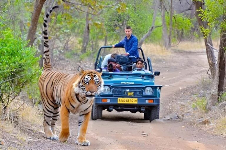 From Delhi: 4 Days Golden Triangle Tour with Ranthambore - Day-by-Day Breakdown