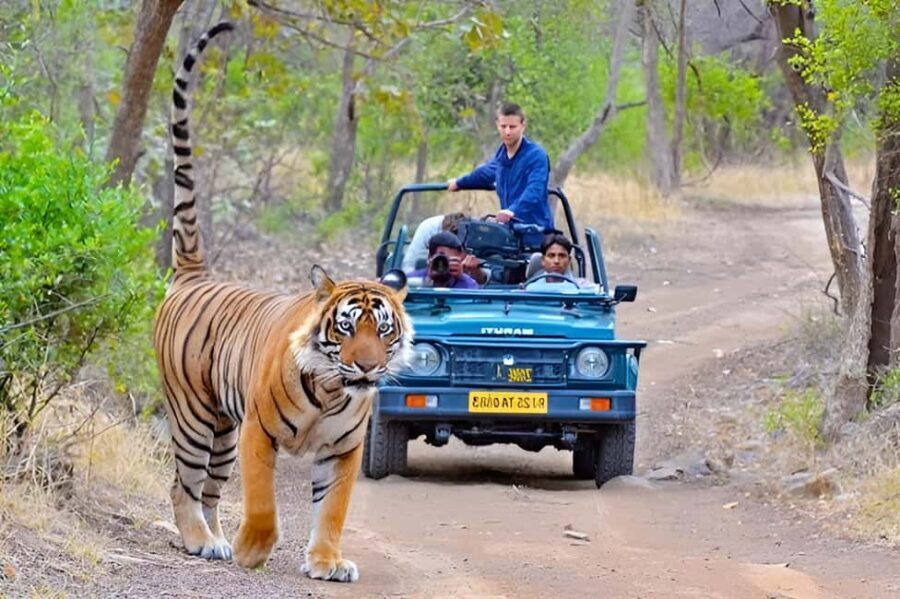 From Delhi: 4 Days Golden Triangle Tour with Ranthambore - Day-by-Day Breakdown