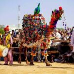 From Delhi: Ajmer and Pushkar 2-Day Tour with Car and Guide - Practical Details for the Traveler