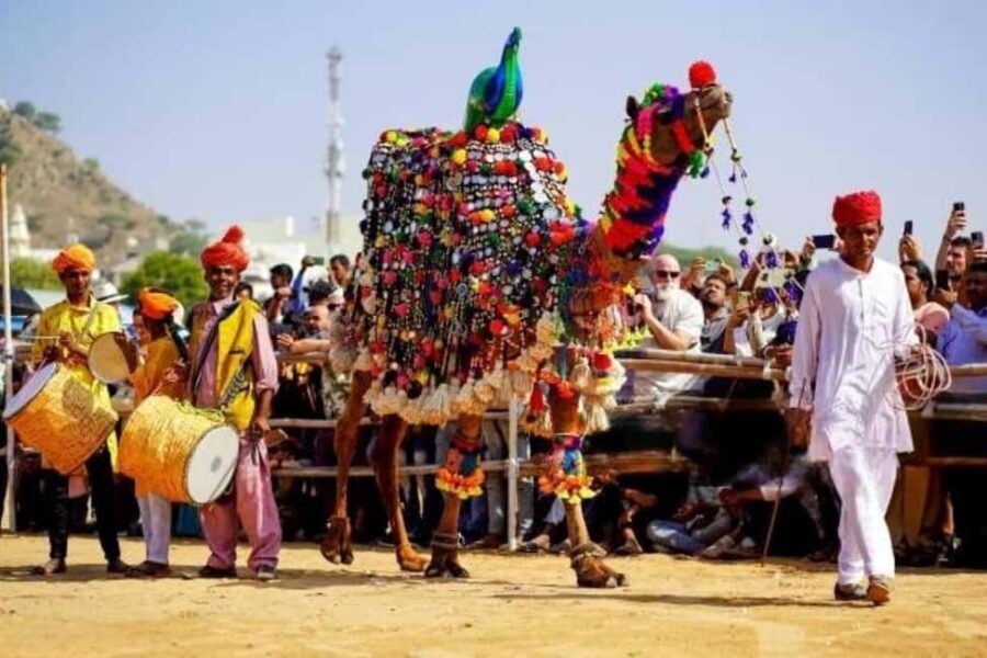 From Delhi: Ajmer and Pushkar 2-Day Tour with Car and Guide - Practical Details for the Traveler