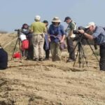 From Delhi: Chambal River Safari with Jeep and Boat Ride - Practical Insights